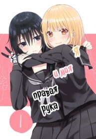 Cover 88145