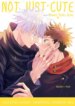 Cover 88147