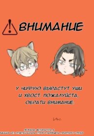 Cover 88149