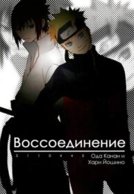 Cover 88355
