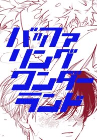 Cover 88377