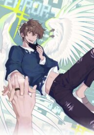 Cover 88405