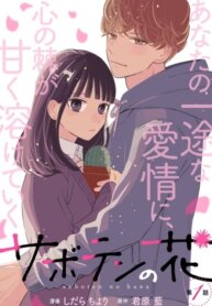 Cover 88491