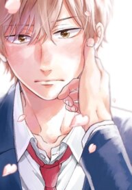 Cover 88872