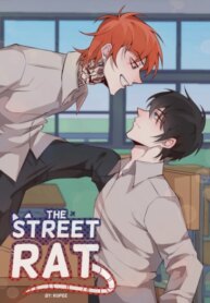 Cover 88966