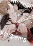 Cover 89016