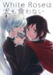 Cover 89026