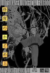 Cover 89038
