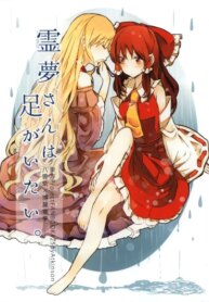 Cover 89080
