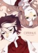 Cover 89095