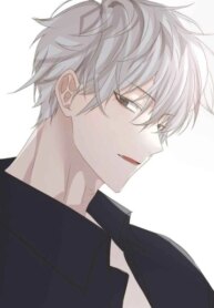 Cover 89137
