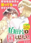 Cover 89173