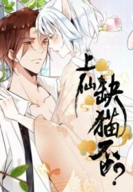 Cover 89213