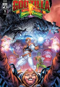 Cover 89325