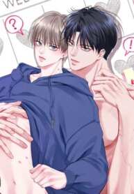 Cover 89366