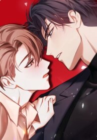 Cover 89421