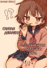 Cover 89527