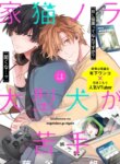 Cover 89565