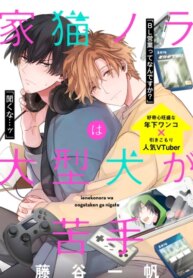 Cover 89565