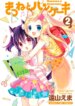 Cover 89617