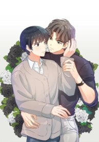 Cover 89685