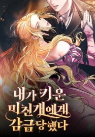 Cover 89944