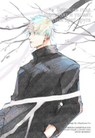 Cover 90291