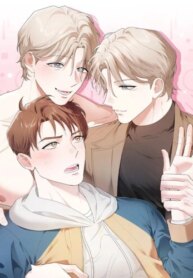 Cover 90311