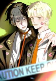 Cover 90333