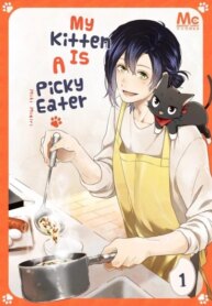 Cover 90513