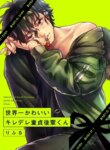 Cover 90731