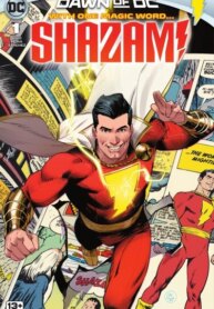 Cover 91003