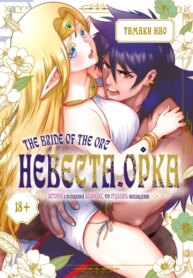 Cover 91017