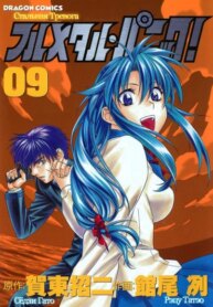 Cover 91065
