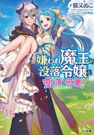 Cover 91185