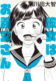 Cover 91211