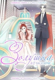 Cover 91217