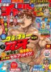 Cover 91225