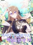 Cover 91513