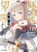 Cover 91668