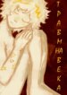 Cover 91776