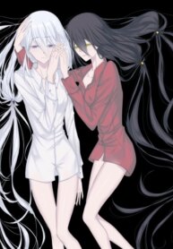 Cover 91921