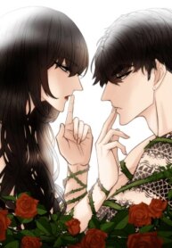 Cover 91999