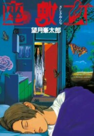 Cover 92411