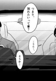 Cover 92925