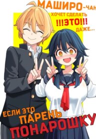 Cover 93387