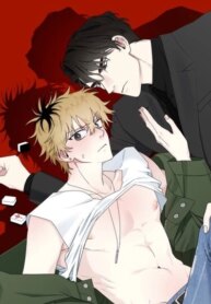 Cover 93572