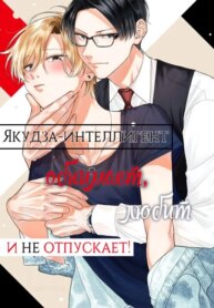 Cover 93582