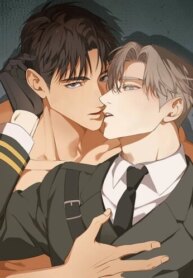 Cover 93706