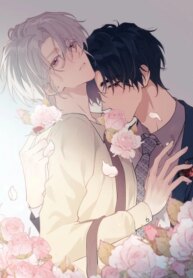 Cover 93710